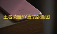 王者荣耀SY直装版全图内透多功能辅助器